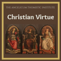 Fr. Simone Francis Gaine O.P -  Beatitude Of The Body