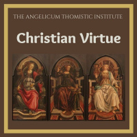 Fr. Michael Sherwin O.P - Christian virtue: Charity