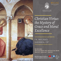 Fr. Michael Sherwin OP - Christian Virtue: the Mystery Of Grace and Moral Excellence