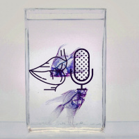 #RelatoLocal - Era un mal necesario 