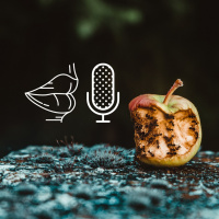 #RelatoLocal - Manzanas podridas 