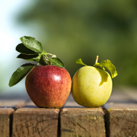 Oh no I couldnt. Are you sure? Perhaps not...