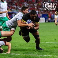 Wales 28-8 Portugal reaction: Not a classic, but job done