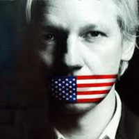The Julian Assange Case