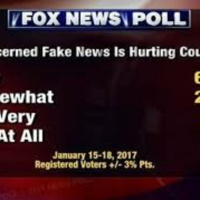 Is Fake News the End of the Fourth State?