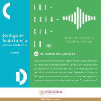 Frecuencia 20 Año 2 Núm. 12 El canto de las aves