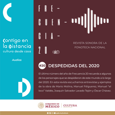 Frecuencia 20