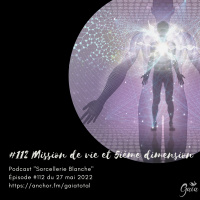 #112 Mission de vie et 5ième dimension