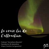#24 La fameuse loi de lattraction