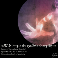 #132 La magie du système énergétique