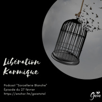 #3 Libération karmique 