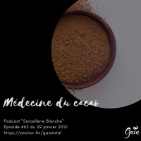 #62 Médecine du Cacao