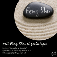 #120 Feng Shui et géobiologie
