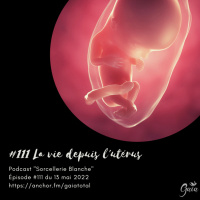 #111 La vie depuis lutérus