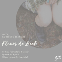 Potion magique et fleurs de Bach