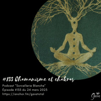 #133 Chamanisme et chakras