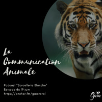#13 Les dessous de la communication animale