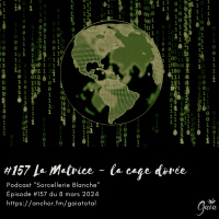 #157 La matrice - la cage dorée
