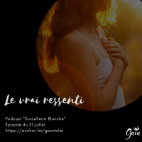 #14 Je te présente mon guide spirituel