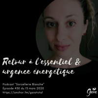 #30 Retour à lessentiel amp urgence énergétique