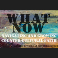 Walk It Out – Wait Where?