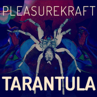 Pleasurekraft -Tarantula (Okkerman  Huseyin Onen  BayChocolatte Edit )