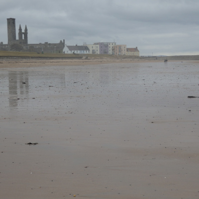 Research English At Durham