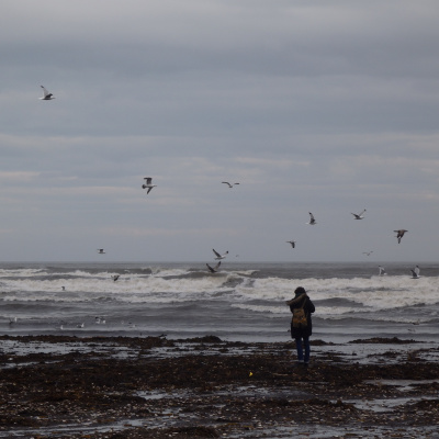 Research English At Durham