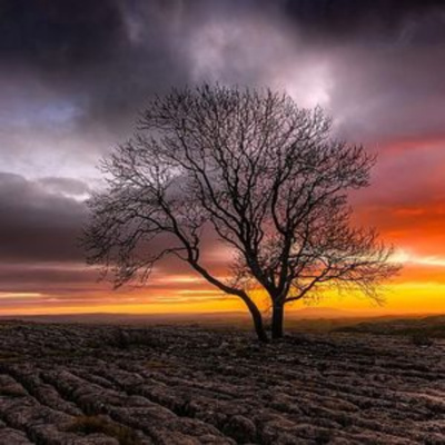 Research English At Durham