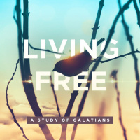 11-10-19: Real Freedom