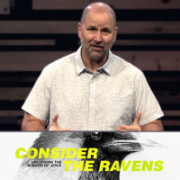 08-16-20: Live In The Meantime