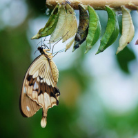 How DevOps Has Changed