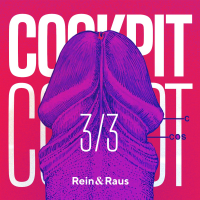 Rein  Raus - Der Sexperimente Podcast