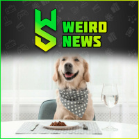 Weird News | November 6, 2022