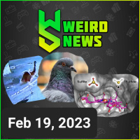 Weird News | RUNAWAY EMU, PIGEON-BASED A.I., SUPER ENZYME and MORE!