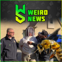 Weird News | October 23, 2022