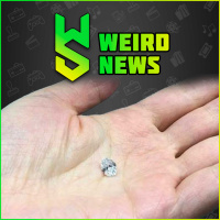 Weird News | October 2, 2022