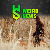 Weird News | October 16, 2022