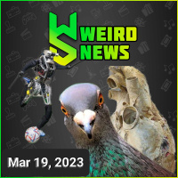 Weird News | HEARTBREAK INSURANCE, DRUG SMUGGLING PIGEONS, ROBOCUP and MORE!