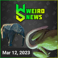 Weird News | THREE-LEGGED ELEPHANT, ITS RAINING WORMS, FROG ANATOMY and MORE!