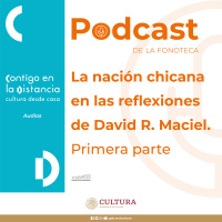 La nación chicana en las reflexiones de David R. Maciel. Primera parte