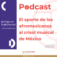 El aporte de los afromexicanos al crisol musical de México.