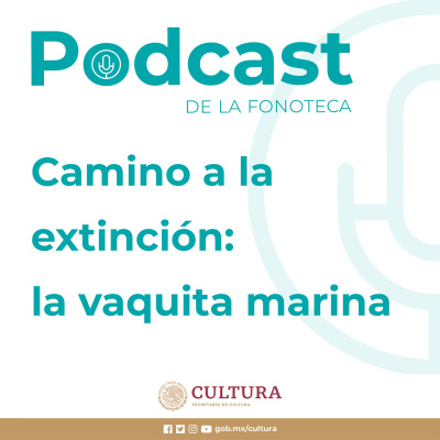 Podcast Semanal