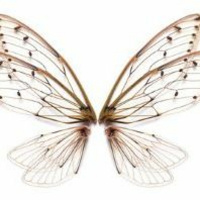 Episode 235: Was She Wicked, Was She Good?