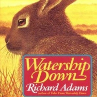 Watership Down Pt 1