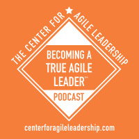 EP44: Becoming A True Agile Leader(tm) - Interview With Kate Megaw