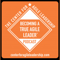 EP22: Becoming A True Agile Leader(tm) - Fostering A True Agile Culture(tm) At Your Organization - With Matt Dukes And Daryl Grantham