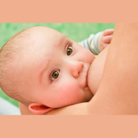 Coping with Cluster Feedings