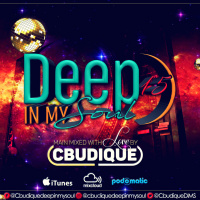 DeepInMySoul 15\\ MainMixed By Cbudique