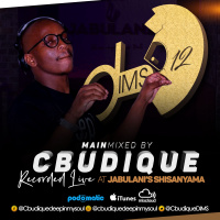 DeepInMySoul 12\\ MainMixed By Cbudique